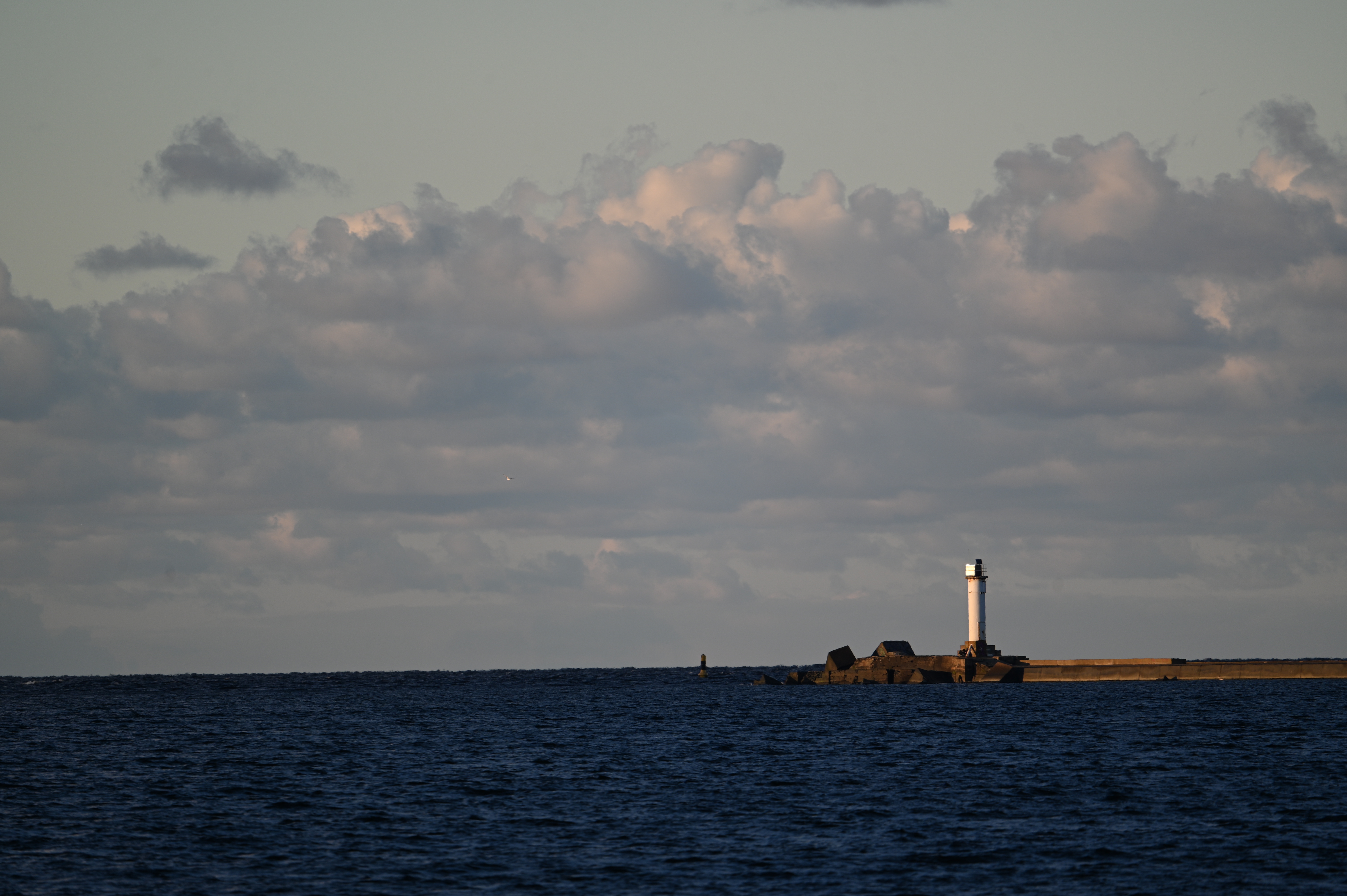 2025/10/18 - walk/DSC_0211.JPG